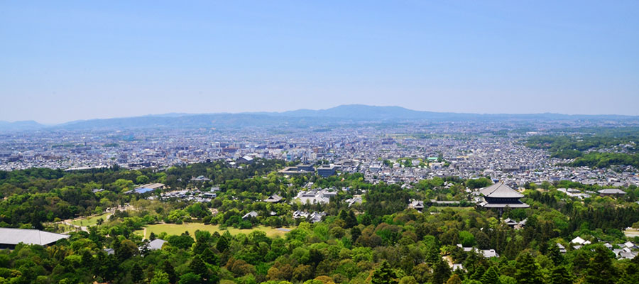 奈良(Nara)海运空运回国(进口)/出口清关货代