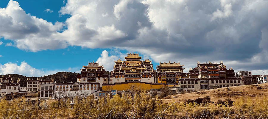 迪庆(Diqing)海运进出口清关货代