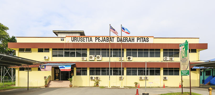 必达士(Pitas)海运空运回国(进口)/出口清关货代