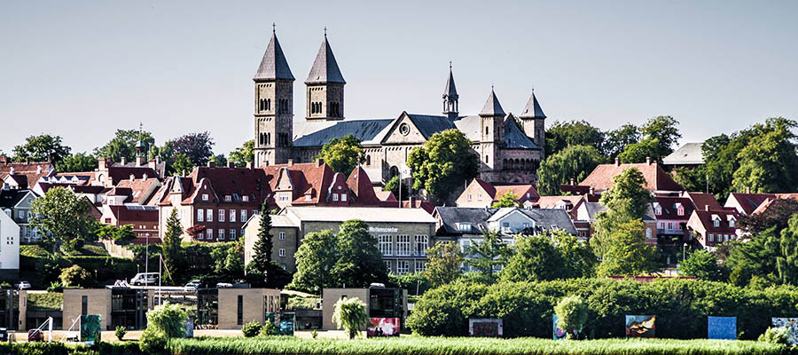 维堡(Viborg)海运搬家回国,家具行李海运,海运公司