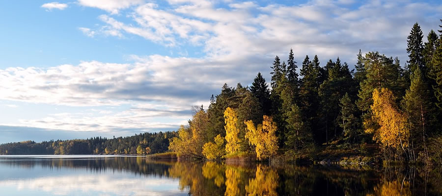 瑞典(Sweden)海运搬家回国,家具行李海运,海运公司